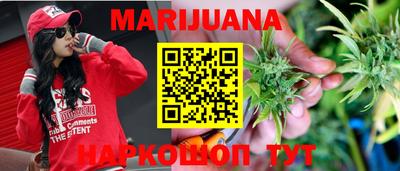 шишки Кандалакша