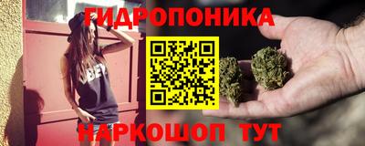 мяу мяу мука Кингисепп