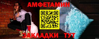 шишки Кандалакша