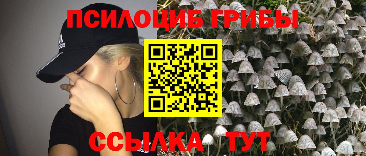 Псилоцибиновые грибы Psilocybine cubensis Ялта