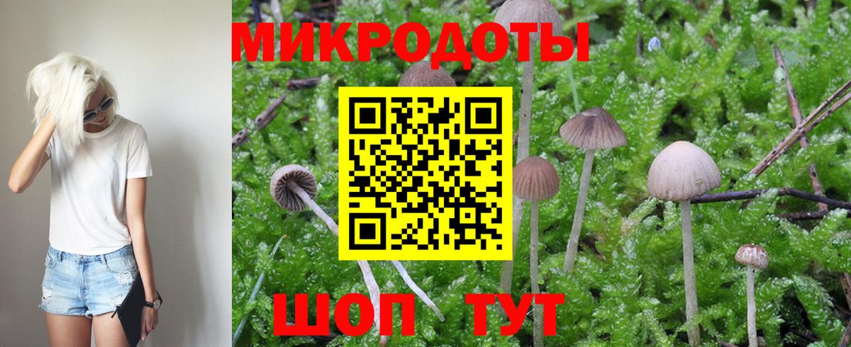 Ялта  Галлюциногенные грибы Psilocybe  даркнет сайт  Псилоцибиновые грибы прущие грибы  Вход с VPN 