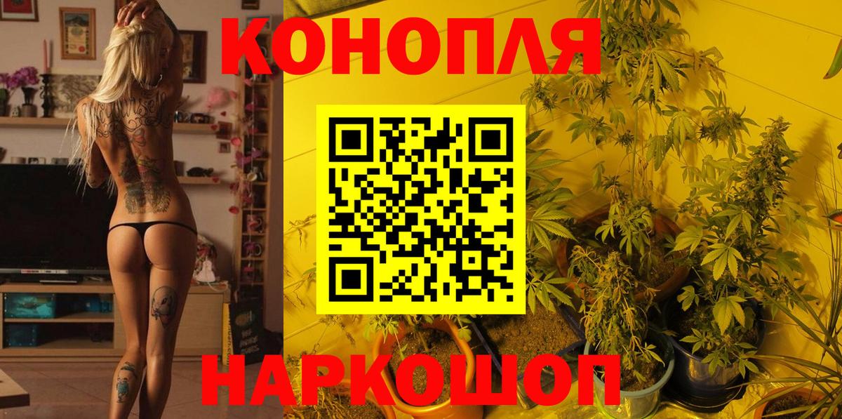 Шишки марихуана Ganja Ялта